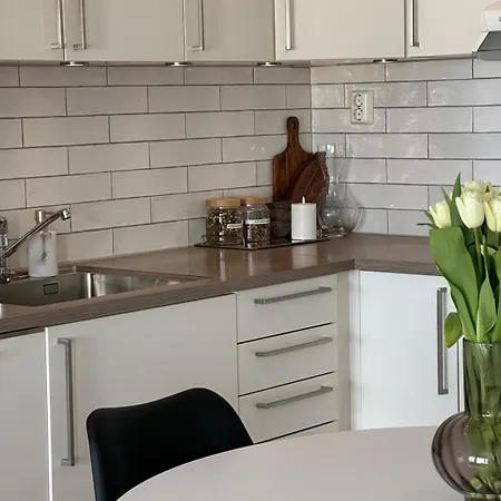 Apartmán Sentrumsnaer I